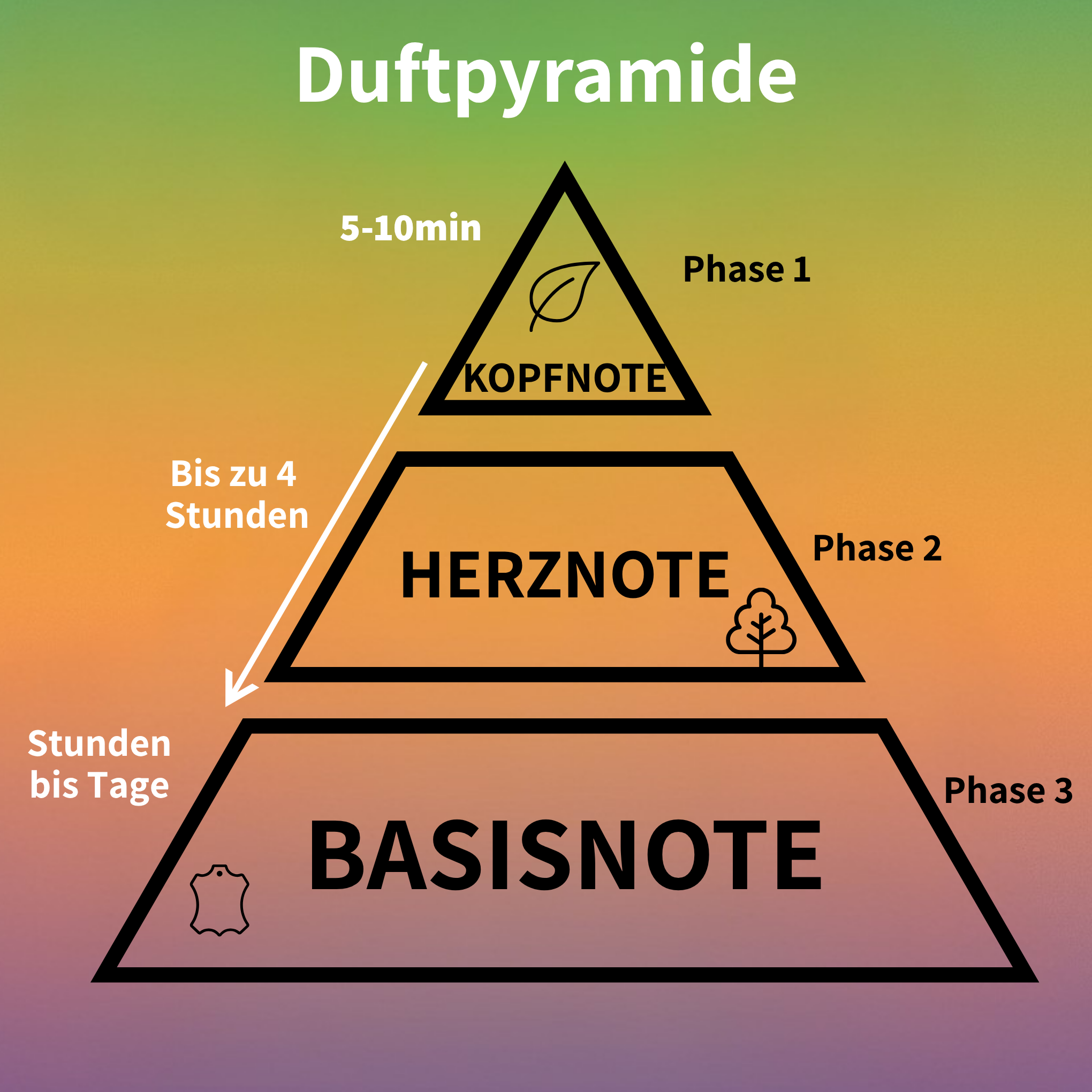Duftpyramide Bei Parfums Einfach Erkl rt F r Einsteiger Und Duftliebh duftpyramide-bei-parfums-einfach-erkl-rt-f-r-einsteiger-und-duftliebh