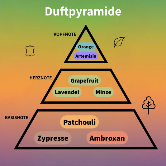 Odyssey Aqua Edition Eau de Parfum 100 ml