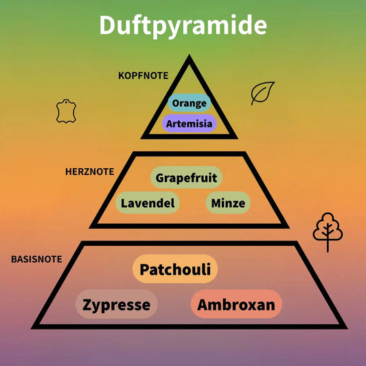 Odyssey Aqua Edition Eau de Parfum 100 ml #2