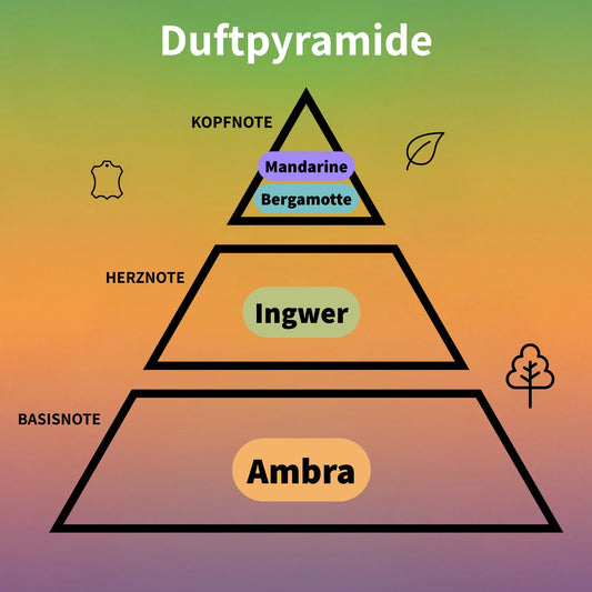 Pinnace Oryn Herrenduft von French Avenue mit zitrisch-frischer Duftrichtung - Duftpyramide