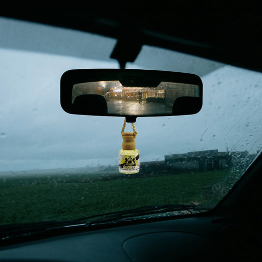 Autoduft Brombeere 8 ml #2