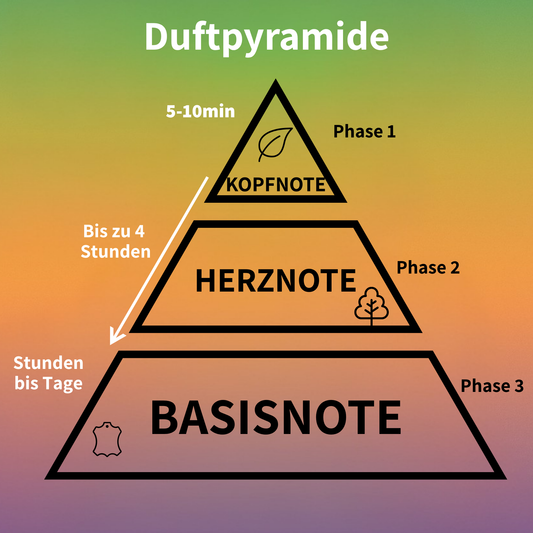 Duftpyramide bei Parfums: Einfach erklärt für Einsteiger und Duftliebhaber