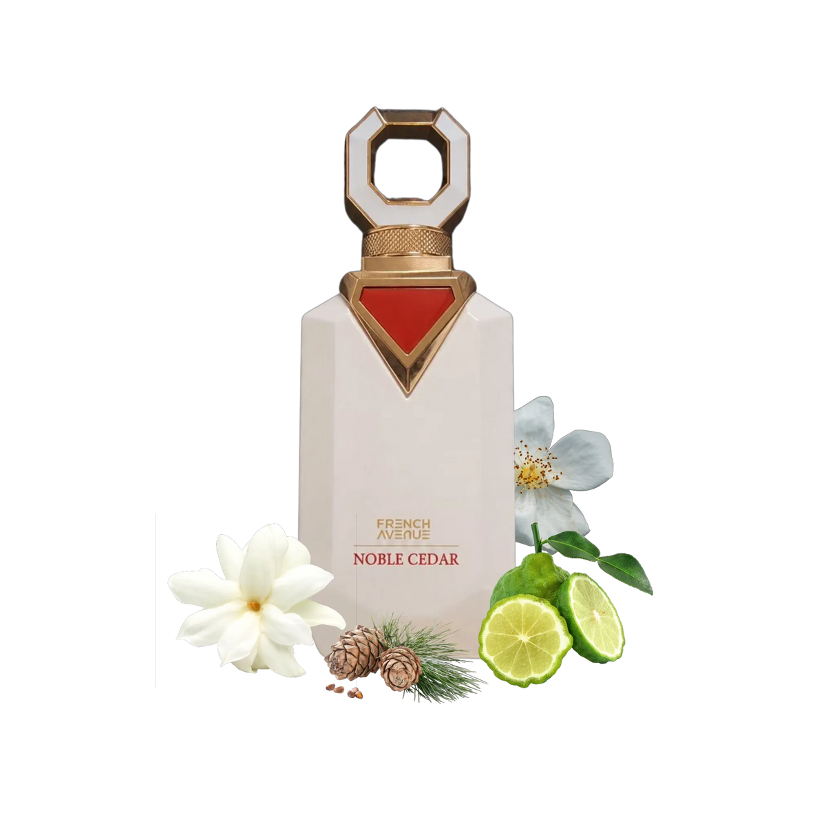 Noble Cedar Extrait de Parfum 100 ml #1