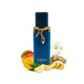 Vulcan Feu Eau de Parfum 100 ml