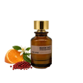 Carnal Cacao Eau de Parfum 100 ml